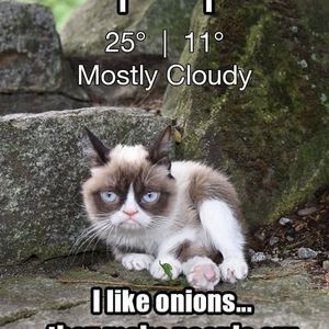 Meet your Posher, Barbara